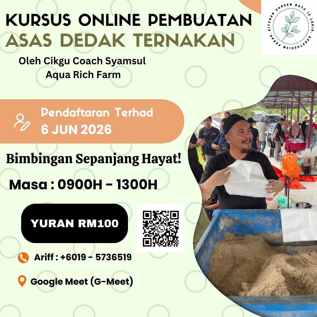 Post 2 by Kitchen Garden Batu 10 Lekir on TikTok (video)