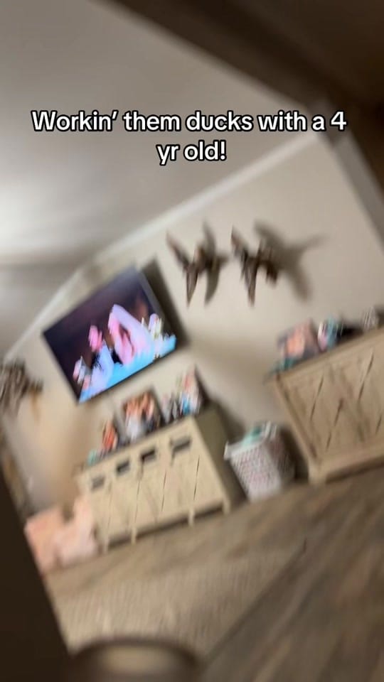 Post 1 by Kolby James on TikTok (video)