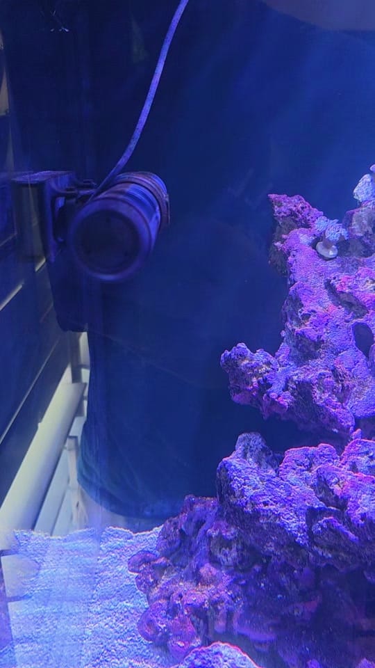 Post 9 by Ryan🌟🐬🌟 on TikTok (video)