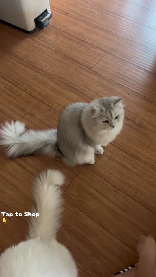 Post 8 by Danielle on TikTok (video)