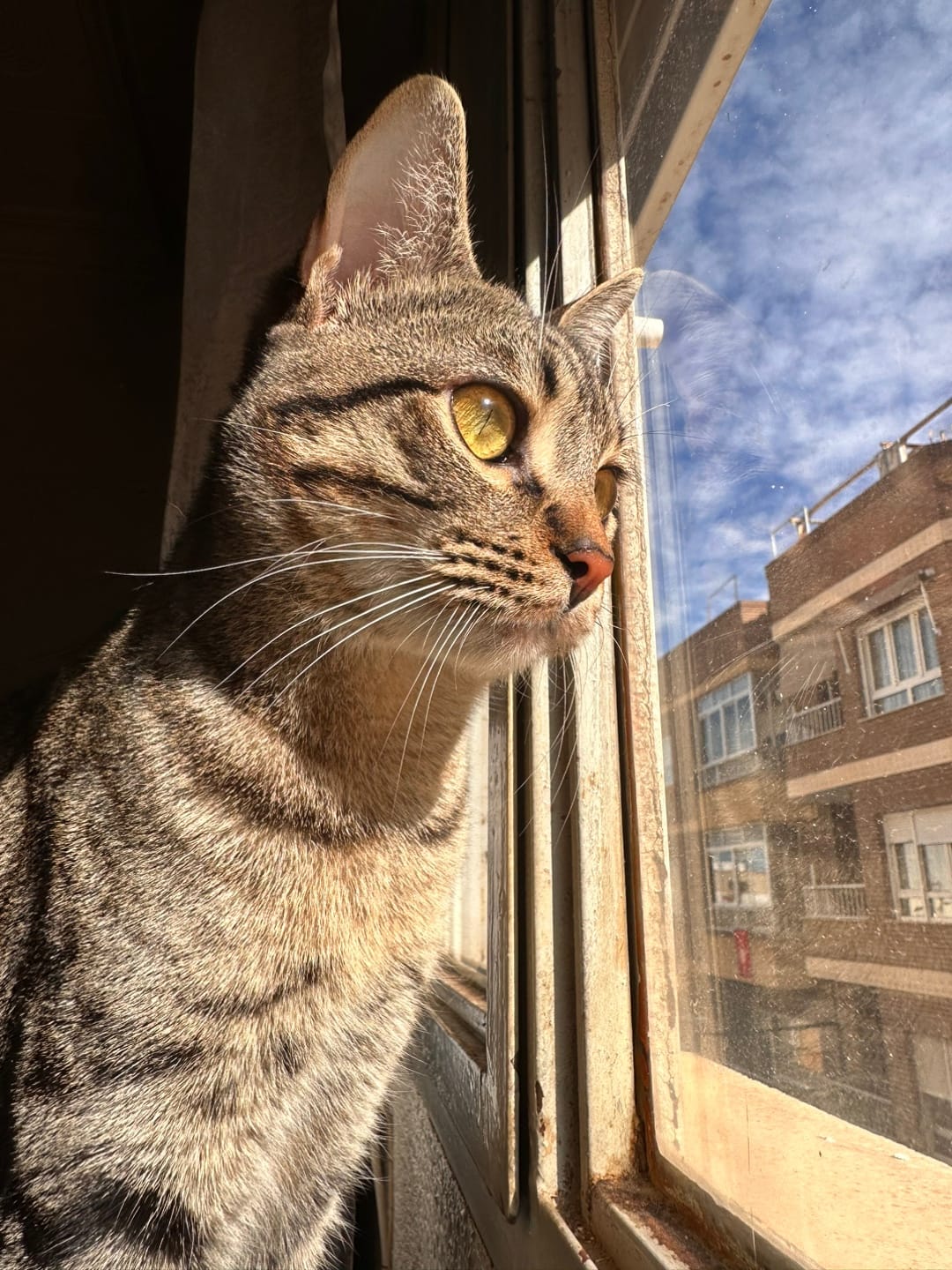 Post 7 by Albagaspar__ on TikTok (video)