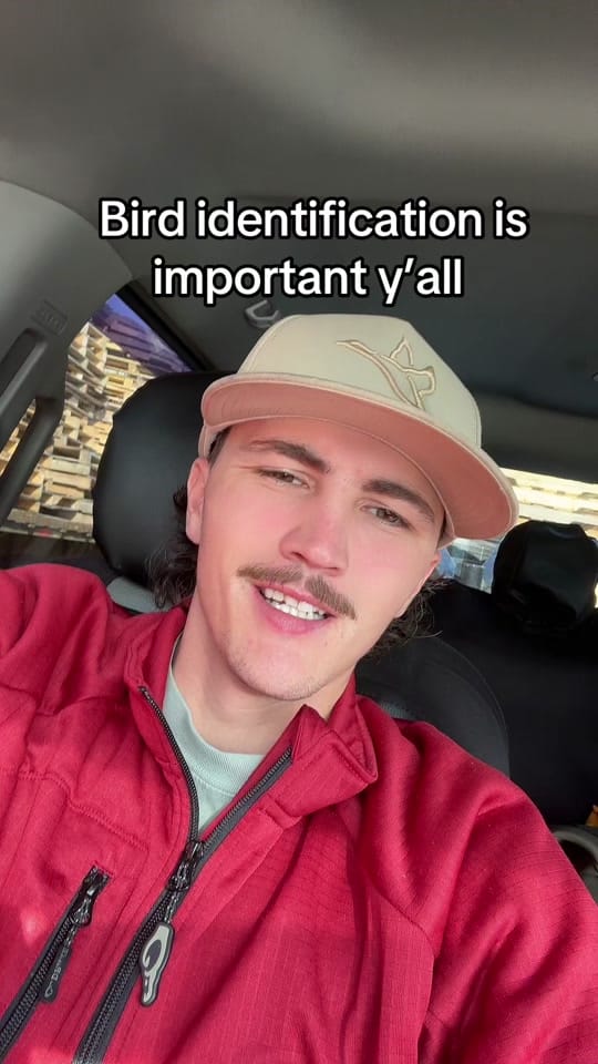 Post 10 by Joseph Miles on TikTok (video)