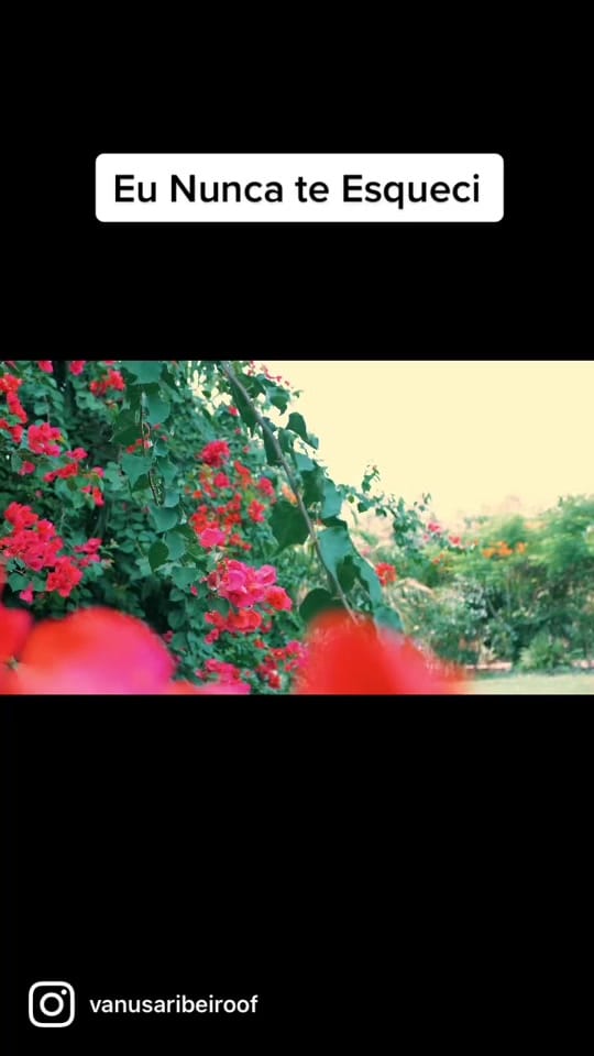 Post 8 by Vanusa Ribeiro🌻 on TikTok (video)