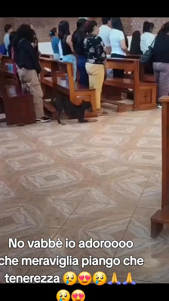 Post 7 by Eva Cavallini on TikTok (video)