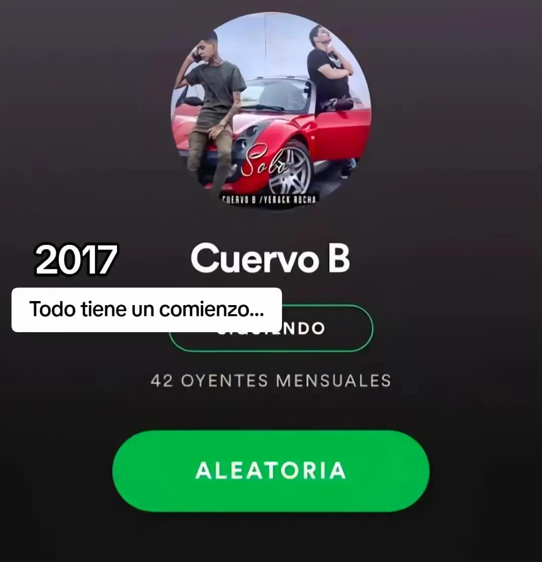 Post 9 by CuervoB on TikTok (video)