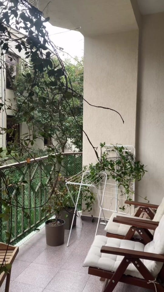 Post 5 by chnznn on TikTok (video)