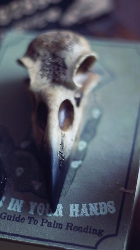 Post 8 by Uchronic Time on TikTok (video)