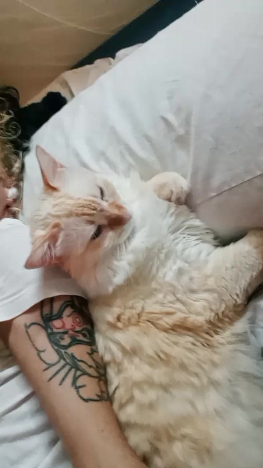 Post 9 by Pk on TikTok (video)