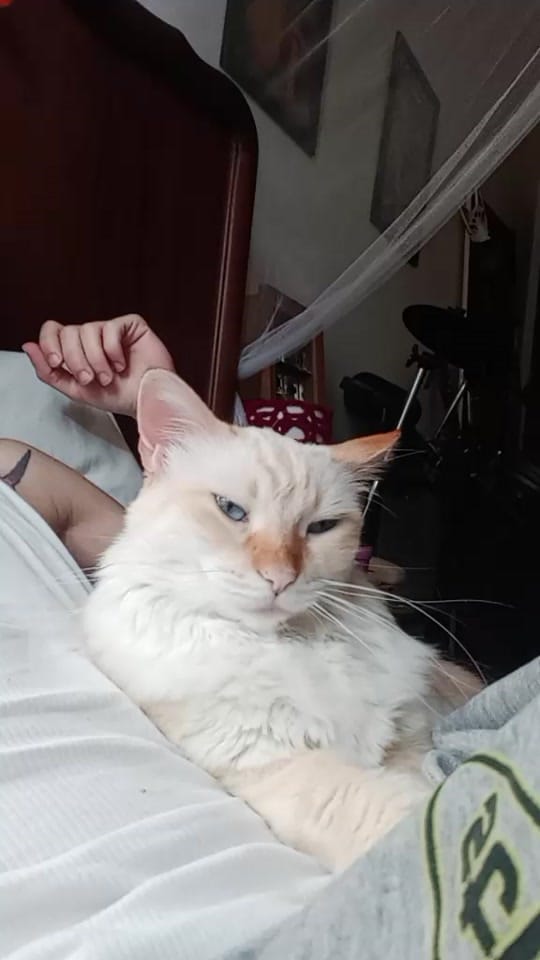 Post 3 by Pk on TikTok (video)