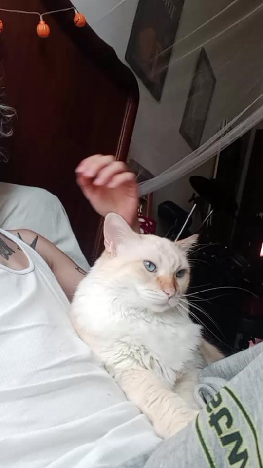 Post 5 by Pk on TikTok (video)