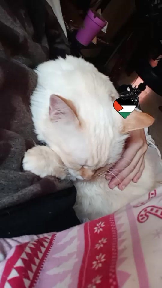 Post 2 by Pk on TikTok (video)