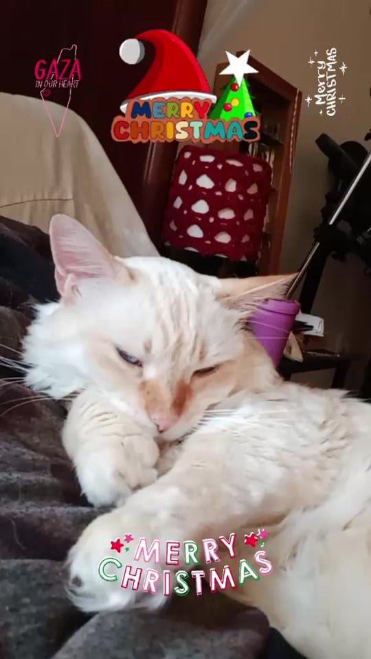 Post 1 by Pk on TikTok (video)