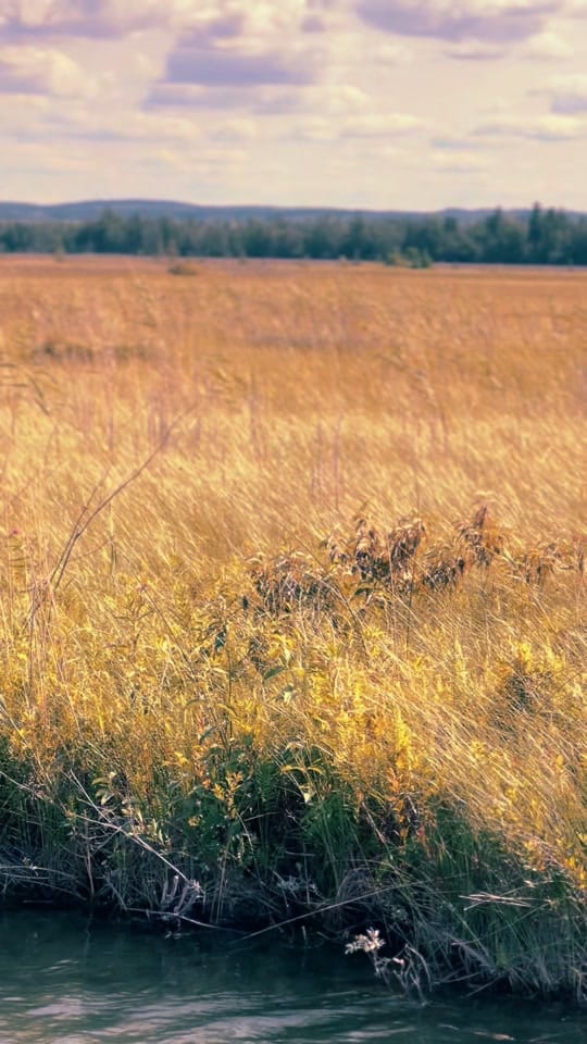 Post 3 by Caleb Worpel on TikTok (video)