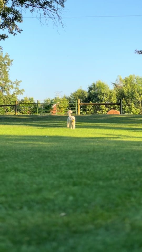 Post 10 by Caleb Worpel on TikTok (video)