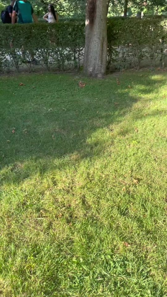 Post 2 by gadyola on TikTok (video)