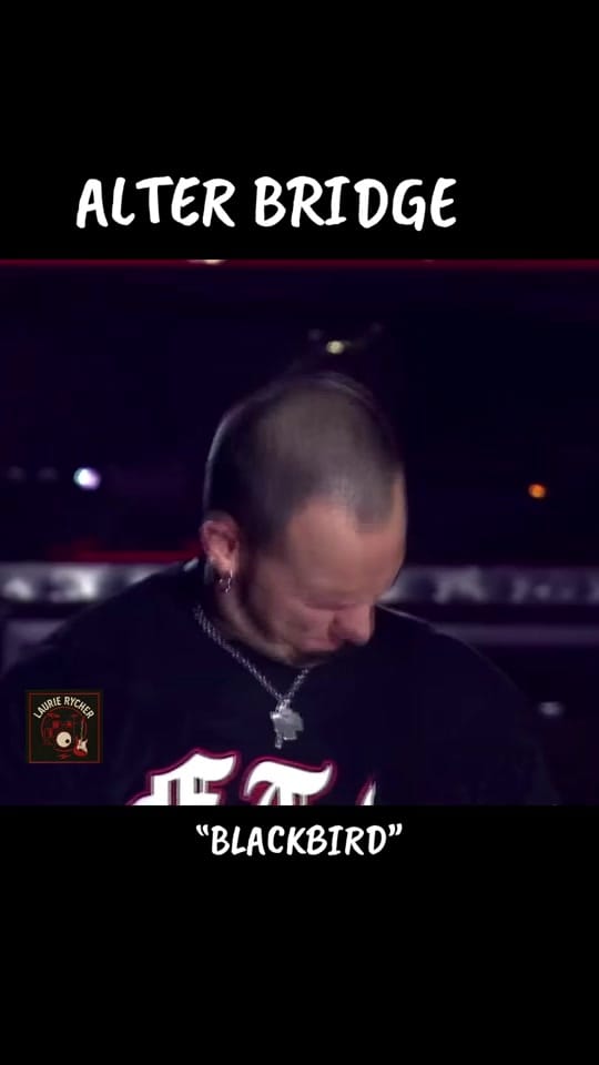 Post 4 by Laurie_rycher on TikTok (video)