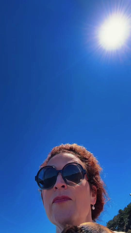 Post 5 by Shannon Vavich on TikTok (video)