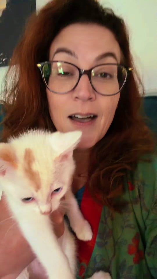 Post 10 by Shannon Vavich on TikTok (video)