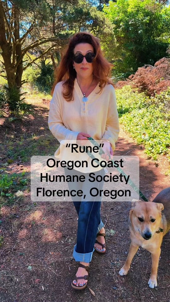 Post 6 by Shannon Vavich on TikTok (video)