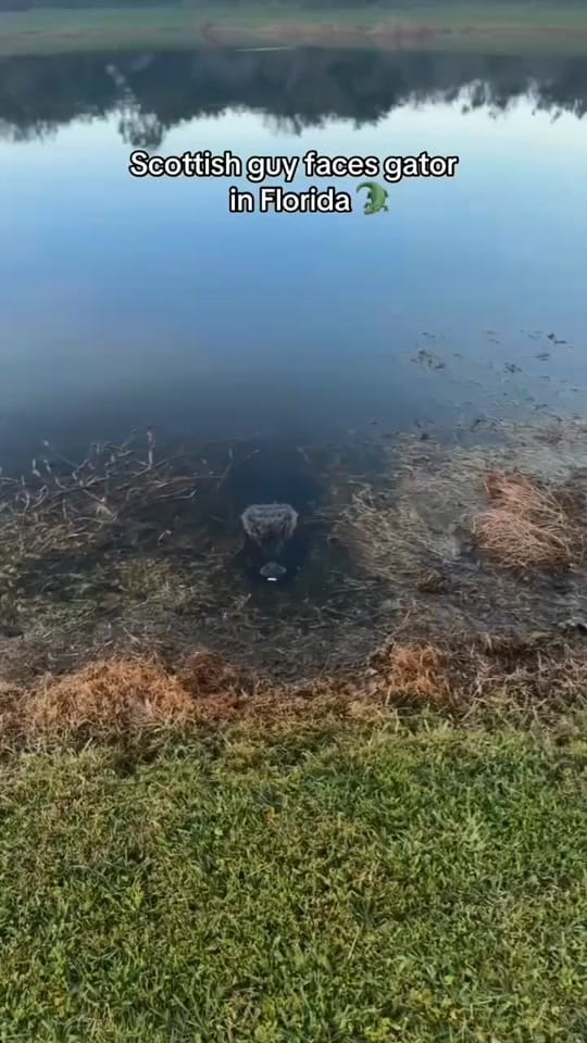 Post 2 by Jennylynn Z on TikTok (video)