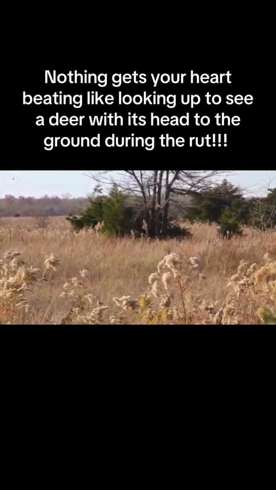 Post 4 by 46thstate_hunt on TikTok (video)