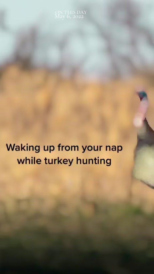 Post 5 by 46thstate_hunt on TikTok (video)