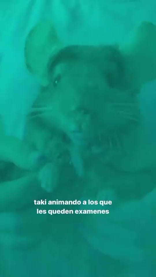 Post 2 by Ángela Alba🌀 on TikTok (video)