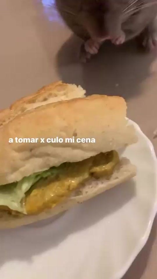 Post 3 by Ángela Alba🌀 on TikTok (video)
