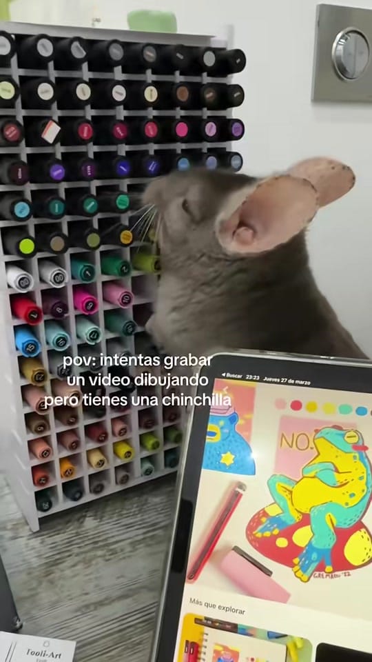 Post 4 by Ángela Alba🌀 on TikTok (video)