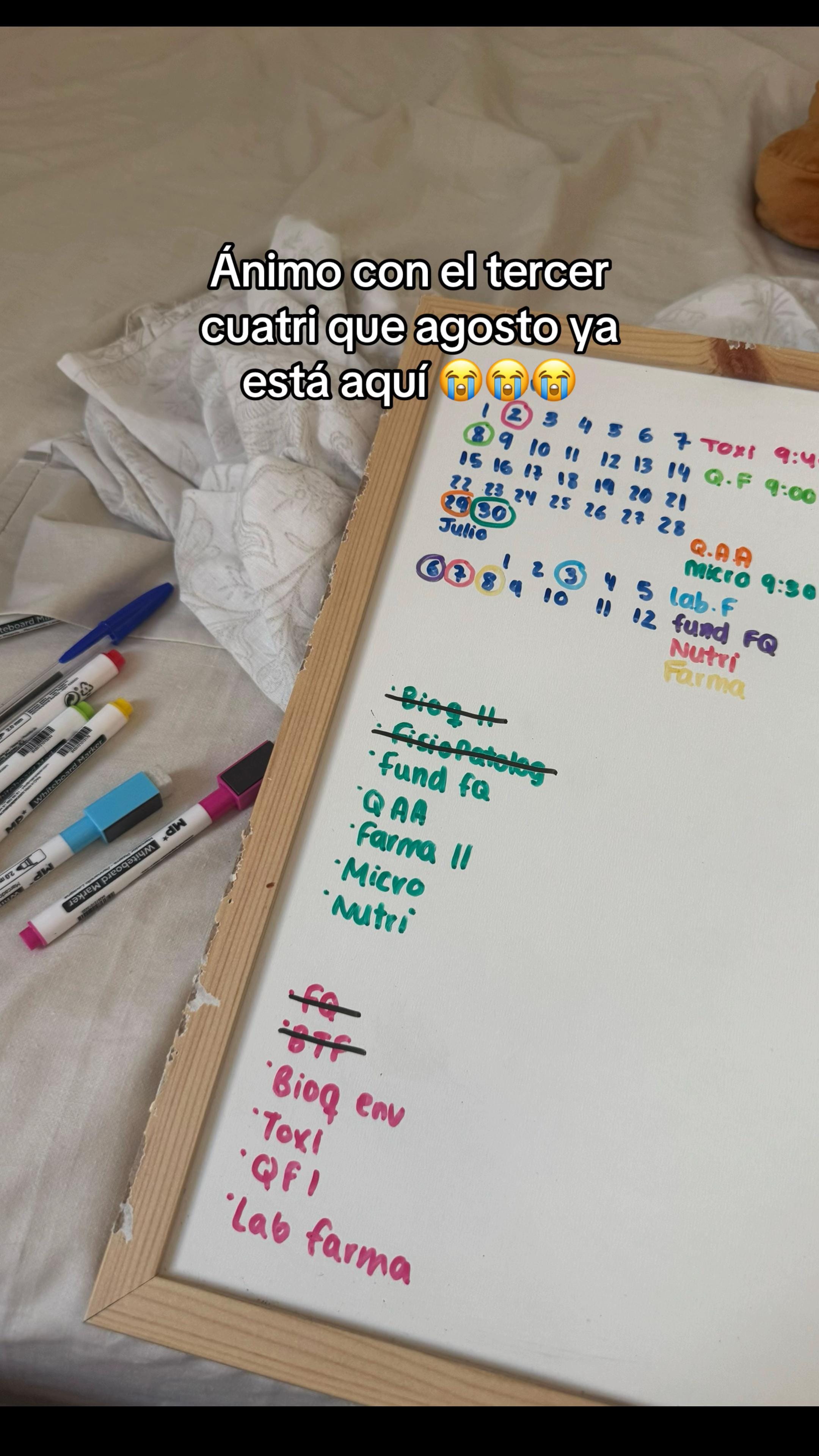 Post 7 by Ángela Alba🌀 on TikTok (video)