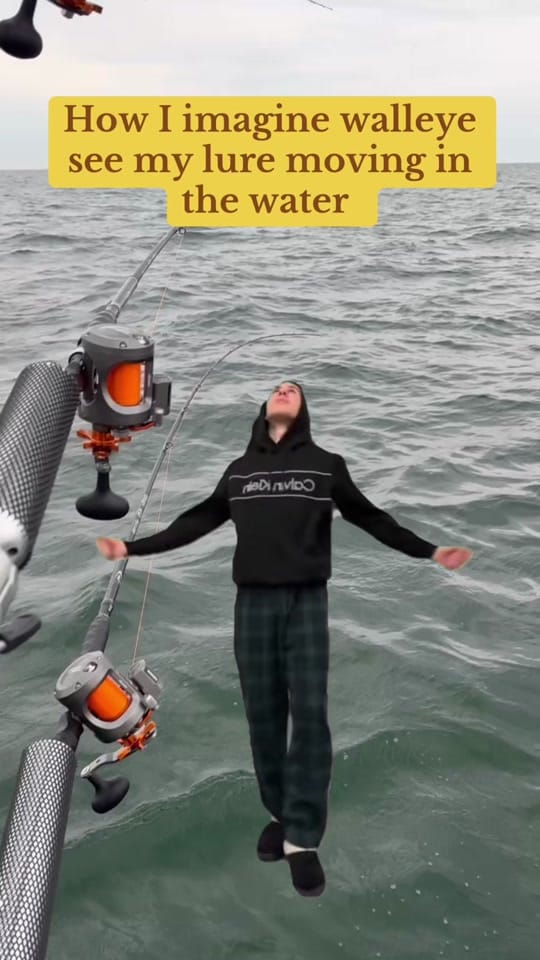 Post 9 by William zehel on TikTok (video)