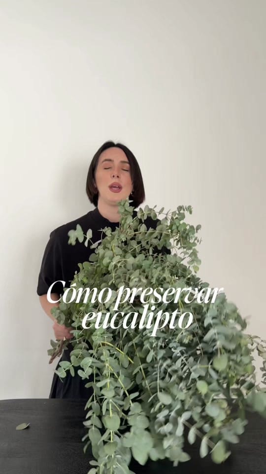 Post 7 by evarojogg on TikTok (video)