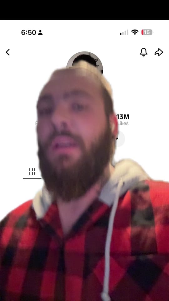 Post 2 by TwitchVicariant on TikTok (video)