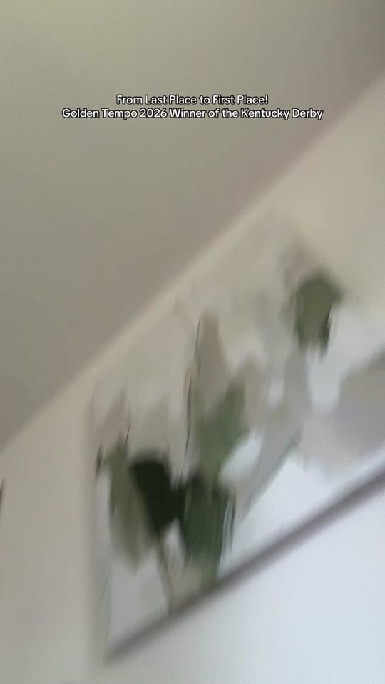 Post 9 by beeminet ✨ on TikTok (video)