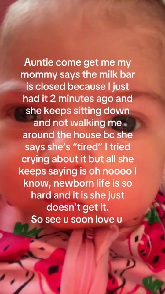 Post 6 by liz ◡̈ on TikTok (video)