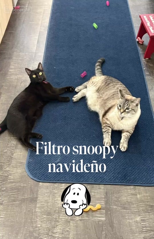 Post 6 by Alyssa Trahan on TikTok (video)