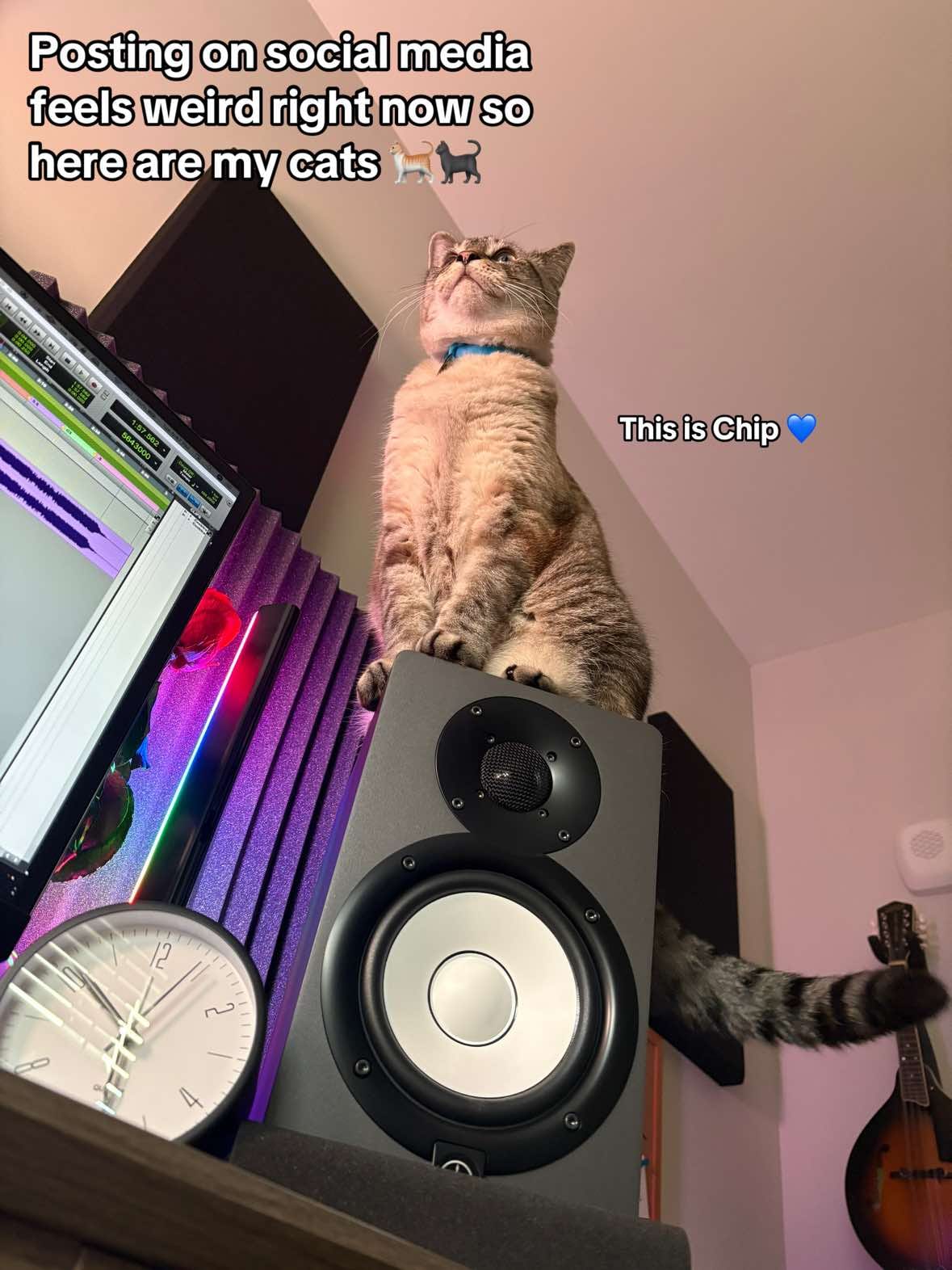 Post 8 by Alyssa Trahan on TikTok (video)