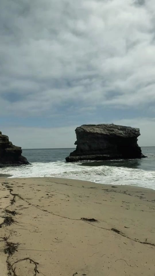 Post 4 by Alyssa Trahan on TikTok (video)
