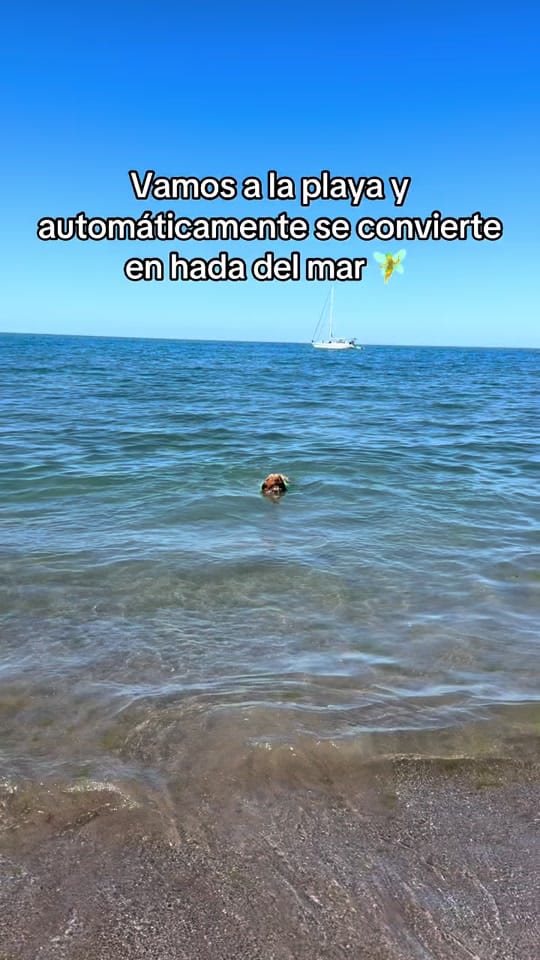 Post 3 by Catalina Palma on TikTok (video)