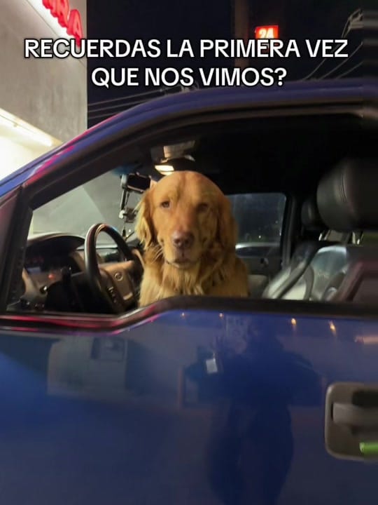 Post 5 by Catalina Palma on TikTok (video)