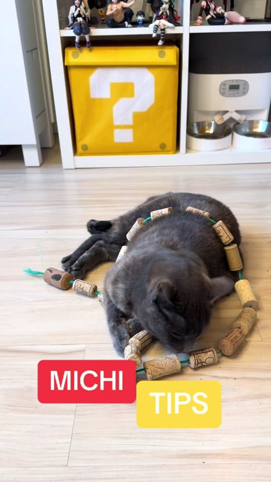 Post 1 by Jorge Runza on TikTok (video)
