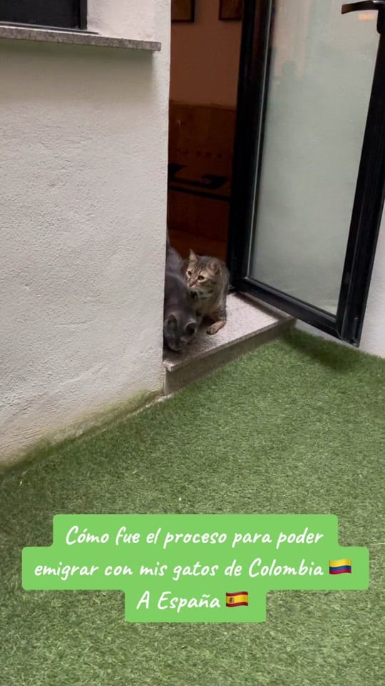Post 3 by Jorge Runza on TikTok (video)