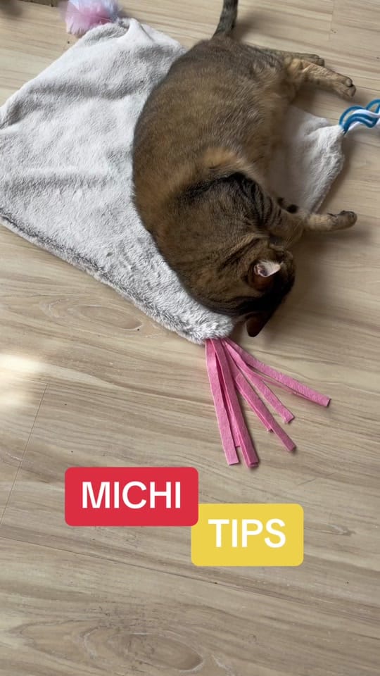 Post 7 by Jorge Runza on TikTok (video)