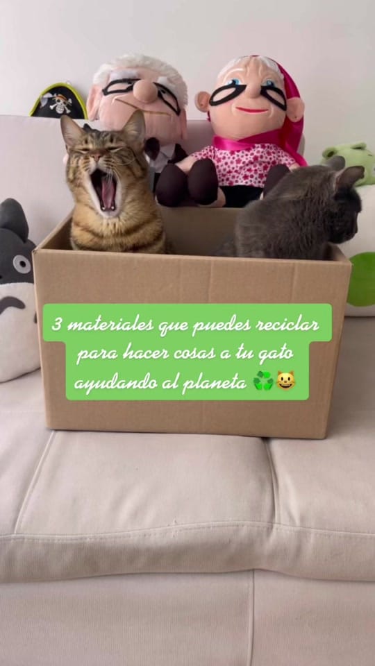 Post 9 by Jorge Runza on TikTok (video)