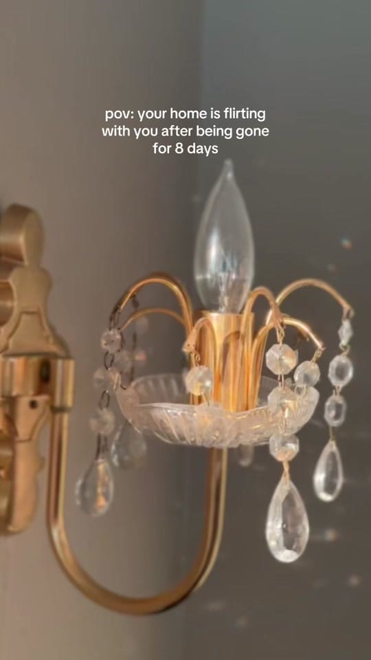 Post 7 by Sara ☀️🐚 on TikTok (video)