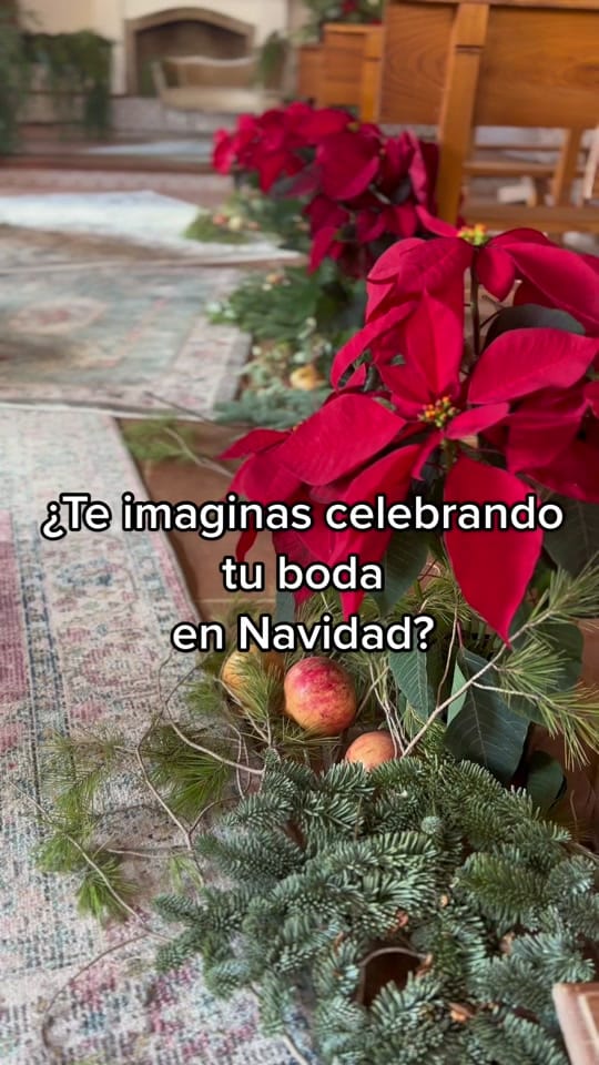 Post 4 by Alba maría on TikTok (video)