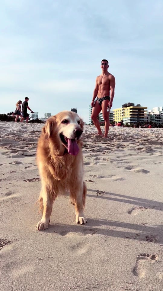 Post 7 by Daniel Sabariego on TikTok (video)