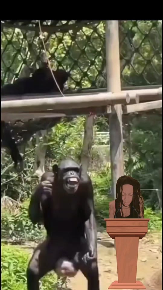 Post 5 by REDDG5 on TikTok (video)