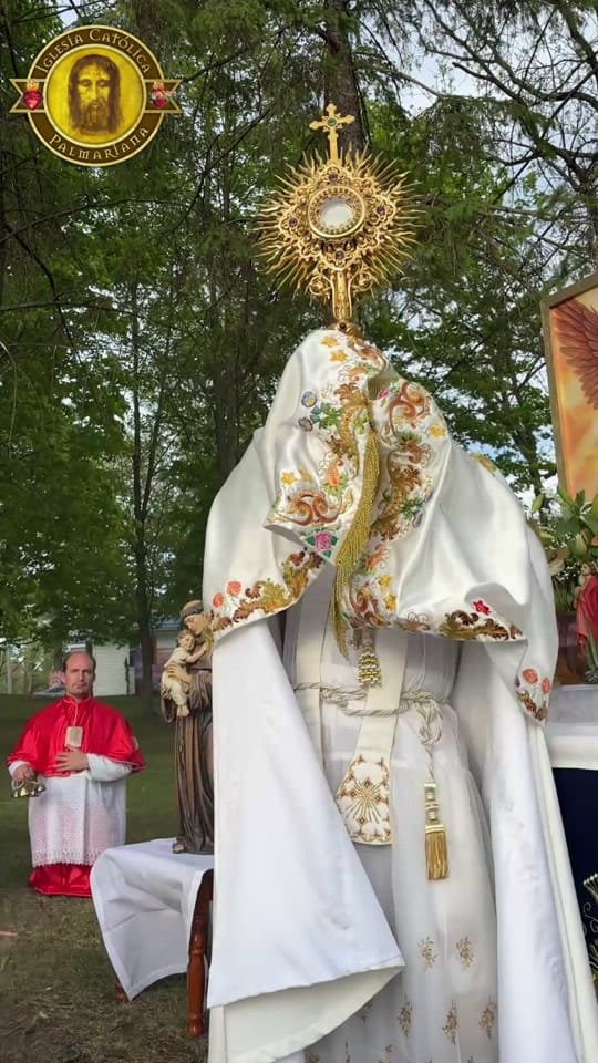 Post 1 by Father Braulio María on TikTok (video)