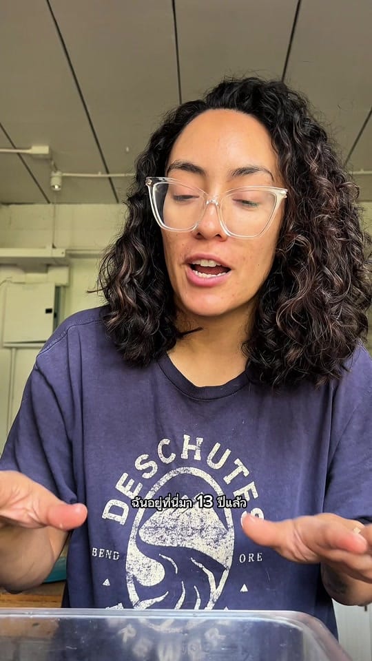 Post 10 by Meri Wild on TikTok (video)